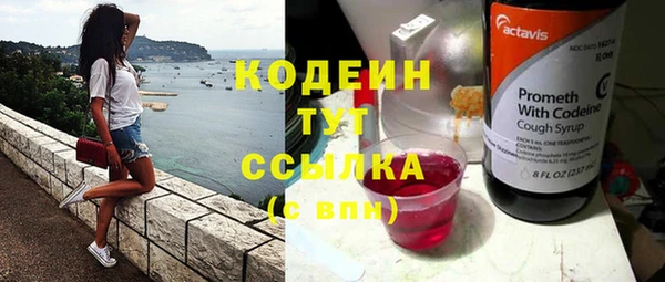 первитин Инта