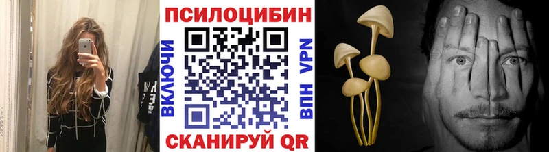 kraken зеркало  Кандалакша  Галлюциногенные грибы GOLDEN TEACHER  продажа наркотиков 