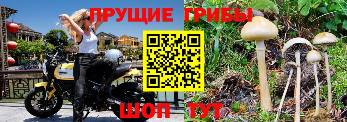 Галлюциногенные грибы мухоморы  Вход с VPN  Галлюциногенные грибы Cubensis  Кандалакша 